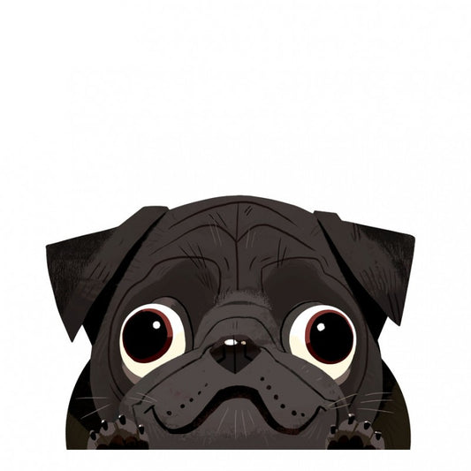 Black Pug Car Sticker Decal