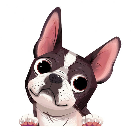 Boston Terrier Sticker Decal