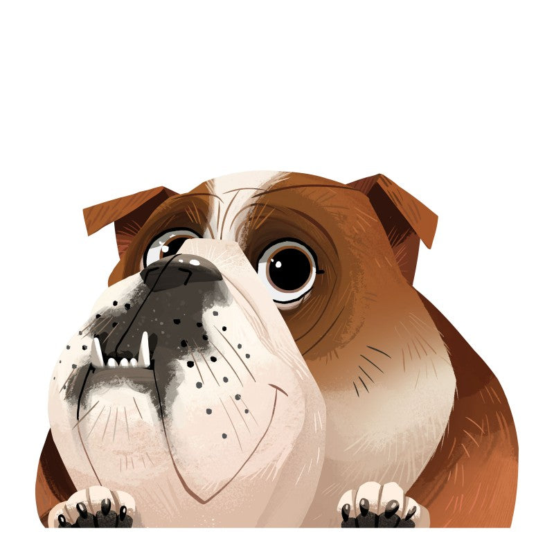 English bulldog car decal best sale